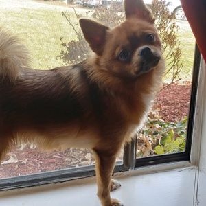 Meet your Posher, Beth